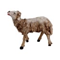 Schaf oben schauend creme 12 cm