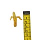 Banane geschält 4 cm