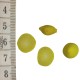 Zitronen Set 3-4 Mix 1,5 bis 3 cm