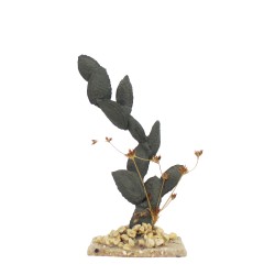 Kaktus mit Steinen 10cm