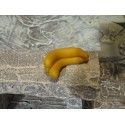 Bund Bananen 3,5 cm